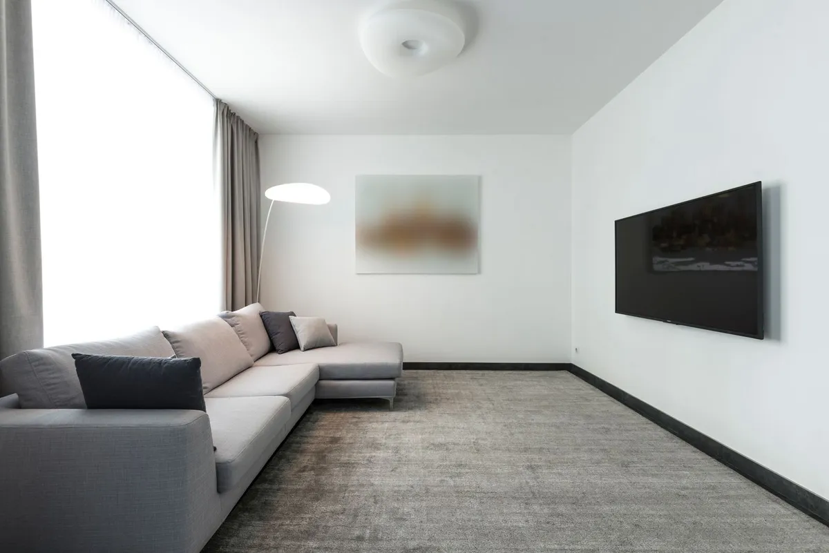 Plush gray carpet in a modern living room